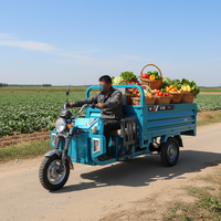 Tricycle électrique robuste 60 V 1 000 W, boîte en acier à benne basculante, convertible, pour l'agriculture