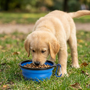 <span class=keywords><strong>Bol</strong></span> pliable pour animaux de compagnie, plat de voyage portable pour chats et chiens, camping en plein air, randonnée - Product Image 3