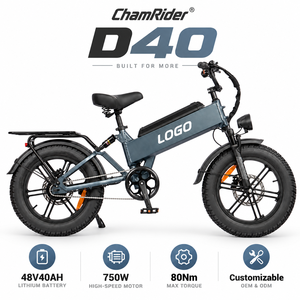 Vélo électrique de livraison D40 750W 48V40AH Fourche en aluminium Pneu 20x4.0 45 °   Climb OEM Factory Bulk - Product Image 1
