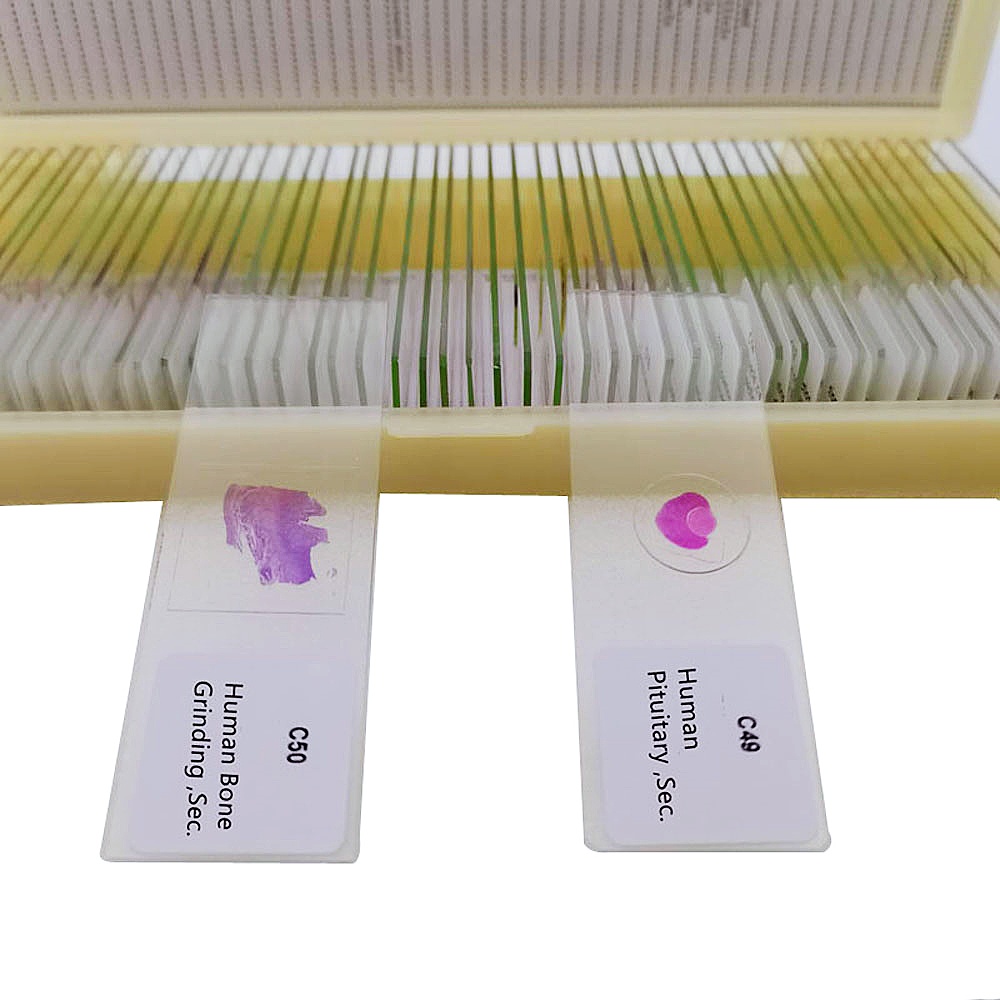 50支人体组织学组织制备显微镜载玻片| Alibaba.com, image size:1000x1000