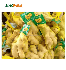 Jengibre Seco de Grado Alimenticio, Jengibre <span class=keywords><strong>en</strong></span> Polvo, Semillas de Jengibre para Materia Prima Herbal - Product Image 6