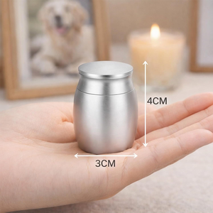 Küçük Avrupa Tarzı Paslanmaz Çelik Küllük Mini Kavanoz Köpekler İçin Cenaze Malzemeleri Mühürlü Evcil Hayvan Tabutları ve Urnleri - Product Image 3