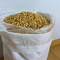 Sac de sécurité en PP tissé double couche avec doublure intérieure et film de doublure supplémentaire pour la résistance à l'humidité des aliments pour animaux
