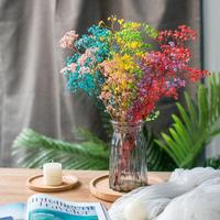 Bunga Gypsophila Kering Alami Berkualitas Tinggi 100-120g untuk Dekorasi Rumah dan Pernikahan