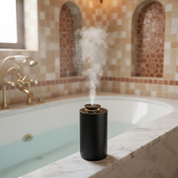 Diffuseur d'arômes pour voiture, maison, hôtel, à LED en plastique, ultra silencieux, à faible consommation, avec bouteille en verre de 20 ml, à double liquide, fonctionnant sur piles