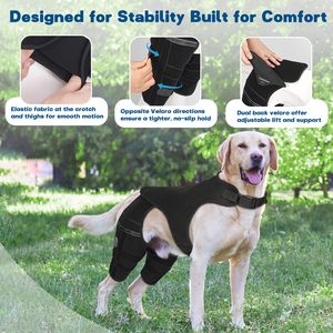 Supporto per Ginocchio Canino, Tutore Regolabile per Zampa Posteriore con 4 Stabilizzatori Metallici per Lesioni al LCA e CCL, Aiuta a Contenere la Rotazione della <span class=keywords><strong>Rotula</strong></span> - Product Image 6