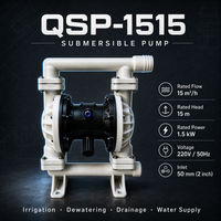 Pompe submersible QSP-1515, 15m³/h, hauteur de refoulement 15m, 1,5kW, pompe à eau électrique 220V 50Hz, pompe de drainage pour jardin et sous-sol