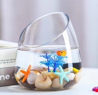 Bol à poisson moderne en verre pour la décoration de la maison Terrarium Globe Flower Vase Hydroponic Slanted Oblique Mouth Multiple Sizes for Tabletop