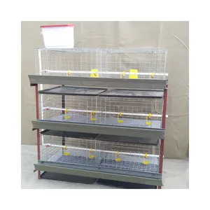 Full Set H type capacity 60 or 80 Poultry Broiler cages with feeding equipment for farm sale