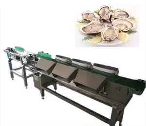 Professional seafood weight sorting machine fish,shrimp,Oysters,Prawns,Scallops,Squid Weight selecting machine