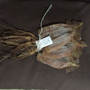 Mực Illex Khô Toàn Bộ Hình Tròn Đông Lạnh Mực Khô Đông Lạnh Làm Sạch Không Da Chất Lượng Hàng Đầu Xuất Khẩu Để Bán - Product Image 2