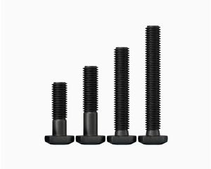 Boulons en T en acier inoxydable SS304 SS316 M6 M8 M12 M14 Passication DIN186 DIN188 - Product Image 2