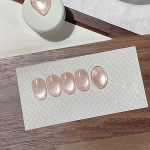 AILANUO Esmalte de Uñas en Gel Efecto Ojo de Gato Aurora de 6 Colores - Serie Ojo de Gato Magnético TPO - Esmalte de Uñas en Gel UV Sin HEMA OEM/ODM - Product Image 1