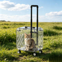 Sac de transport panoramique transparent en acrylique écologique pour animaux de compagnie, respirant et portable, grande capacité pour chats