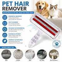 Brosse anti-poils portable OEM ODM en ABS de type rouleau, avec adhésif détachable, pour chiens, chats et petits animaux, grattoir à vêtements facile à utiliser