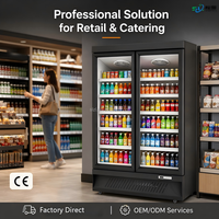 Réfrigérateur vertical commercial pour supermarché à double porte vitrée, à haute efficacité énergétique, pour boissons froides, avec éclairage LED