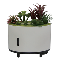 Humidificateur d'air à commande à distance avec diffuseur d'arômes, brume douce automatique avec huile essentielle pour salon et bureau