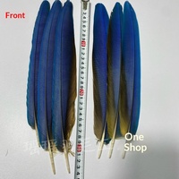 Plumes de faisan naturelles brutes pour la confection de costumes de carnaval, plumes de perroquet 20-50cm, bleues, pour coiffures, accessoires de tête, sacs à dos et danse