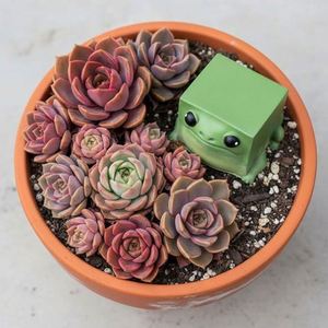 Estatua de Rana Cuadrada de Resina Personalizada con LOGO, Miniatura Divertida y Original, Adorno de Escritorio, Accesorios Coleccionables, Decoración para el Hogar, Oficina o Estante, Regalo - Product Image 5