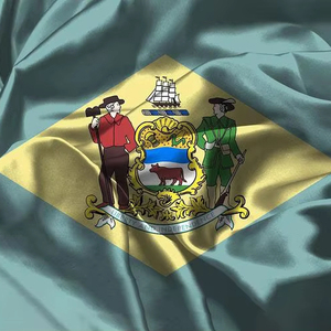 2025 New giá rẻ đồng bằng polyester thăng hoa in ấn tùy chỉnh quốc gia 3X5FT <span class=keywords><strong>Delaware</strong></span> cờ cờ với cờ quốc gia - Product Image 1