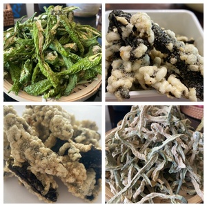 Tempura Tempura tảo bẹ khoai tây chiên giòn mất nước và deoiled ít chất béo Snack - Product Image 2