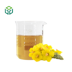 Extrato em Pó de Folha e Flor de Verbascum Thapsus (Mullein) Cru 10:1 Grau Alimentício Suplementos Naturais Embalagem em Tambor - Product Image 2