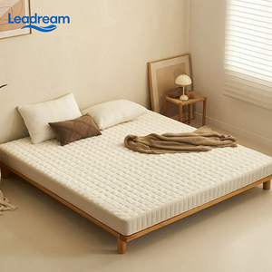 ผู้ผลิตที่นอนสปริง Leadream ที่นอนสปริงแบบสั่งทำขนาดควีนไซส์ คิงไซส์ ทันสมัย เป็นมิตรกับสิ่งแวดล้อม สำหรับโรงแรมและโรงเรียน - Product Image 1