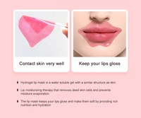 Gel Collagène Plump Care Repulpant Patches Hydro Hydrogel Masque pour les Lèvres Rouge Marque Privée Organique Cristal Naturel Sommeil Personnalisé