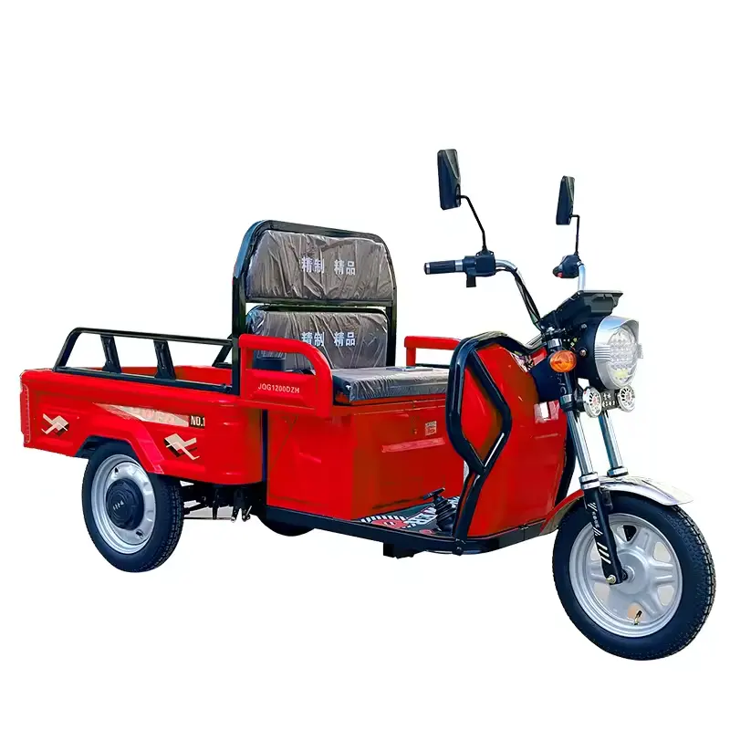 3 Wheels Electric Tricycle videos Motorcycle Carrying Cargo Automatic Three Wheeler Electric Scooter