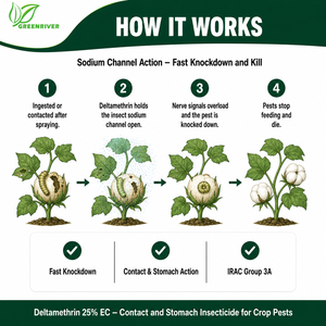 GREENRIBER Deltametrina 25% EC <span class=keywords><strong>Insecticida</strong></span> CAS 52918-63-5 IRAC Grupo 3A Piretroide Canal de Sodio - Product Image 3