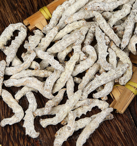 Venta al por mayor seca Bombyx Mori <span class=keywords><strong>Linnaeus</strong></span> cuerpo infectado por Beauveria Bassiana Vuillant - Product Image 1