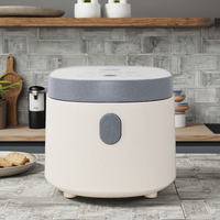 Professionnel de haute qualité Mini cuiseur à riz 2.5L 400W numérique automatique multi-usages Portable antiadhésif cuiseur électrique CB CE