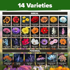 Home Grown 2oz Premium Monarch Butterfly Wildflower Mix 20000 Non-GMO Milkweed Flor a granel para jardines - Product Image 2