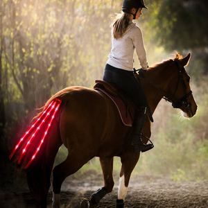 Nouvelles lampes LED clignotantes pour queue de cheval, rechargeables par USB - Product Image 1