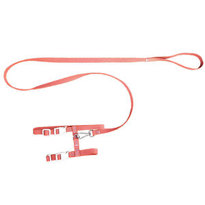 도매 조정 가능한 경량 부드러운 고양이 하네스 및 가죽 끈 세트 고양이 안전 걷기 및 여행 맞춤형 컬러 고양이 하네스 - Product Image 4