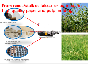 Raffineur de disque d'excellence de défibrage de système de traitement de pâte à papier de fibrilisation de haute technologie pour le moulage de pâte - Product Image 5