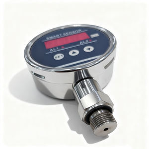 Sesuaikan pemancar tekanan hidrolik, tampilan LED Digital pemasangan bawaan 24V standar 0-200MPa - Product Image 6