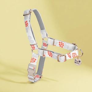 Arnés de Lujo para Mascotas, Talla M, Moderno, Transpirable, de Algodón Premium, Ecológico, Antitirones, con Diseño Personalizado - Product Image 1