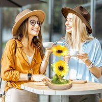 Cadeaux de Saint-Valentin et d'anniversaire pour femmes, fleurs artificielles, cadeaux pour maman, petite amie, épouse, tournesol dans un dôme en verre