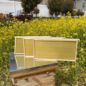 Los Fabricantes Venden una Gran Cantidad de Nuevos Cuadros de Panal y Bases de Cera de Abeja - Product Image 5