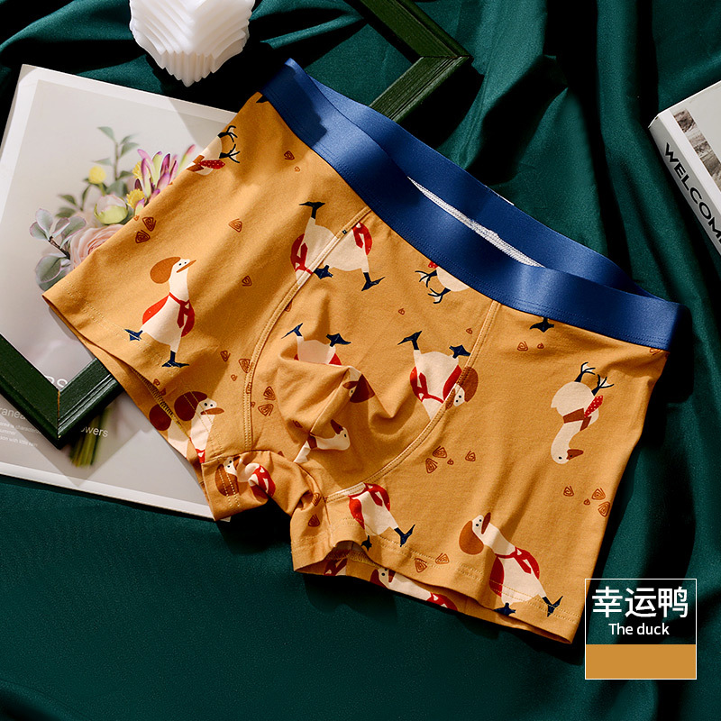 BOXER BRIEFS/male/Duck