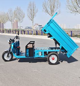 Tricycle électrique à 3 roues de haute qualité pour adultes Cargo Motorhome fabriqué en Chine avec carrosserie ouverte - Product Image 3