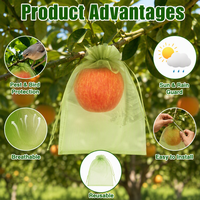 Groene fruitbeschermingszakken Herbruikbare plantenbeschermingshoes voor sinaasappels, appels, druiven, ongedierte, vogels, zon, regenbescherming, tuin, boomgaard