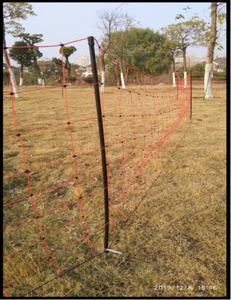 Vendita calda recinzione elettrica pecora rete capra 50M - Product Image 6