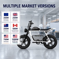 Vélo électrique à pneus larges 250W, style cyclomoteur rétro, avec porte-bagages arrière, pour les revendeurs, importateurs et projets OEM en UE, au Royaume-Uni et en Australie