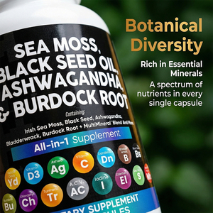Cápsulas de Musgo Marino y <span class=keywords><strong>Ashwagandha</strong></span> de Marca Privada, Fórmula Herbal Natural para el Equilibrio Sistemático, OEM ODM, Listo para Enviar - Product Image 4