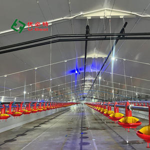 Automatische Nieuwe Ontwerpfabriek Levert Stalen Frame Kippenhok Vleeskuikens Landbouwmachines Met Feeder-En Drinksysteem - Product Image 4