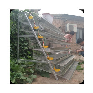 Automatische Een Soort Grote Capaciteit 800 Vogels Gegalvaniseerd Ei Fokken Laag Kwartel Kooi Voor Verkoop - Product Image 5