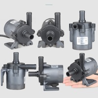 Brushless BLDC Wells Acier Silencieux 12 Feu Mini Écumoire Bldc Machine Chimique Vis Volt Système Inoxydable 24V 12V Dc Pompe
