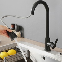 Keran Dapur Modern TC SB-2901B Satu Gagang Keramik Lapisan Hitam dengan Kepala Semprot Tarik, Pemasangan Satu Lubang
